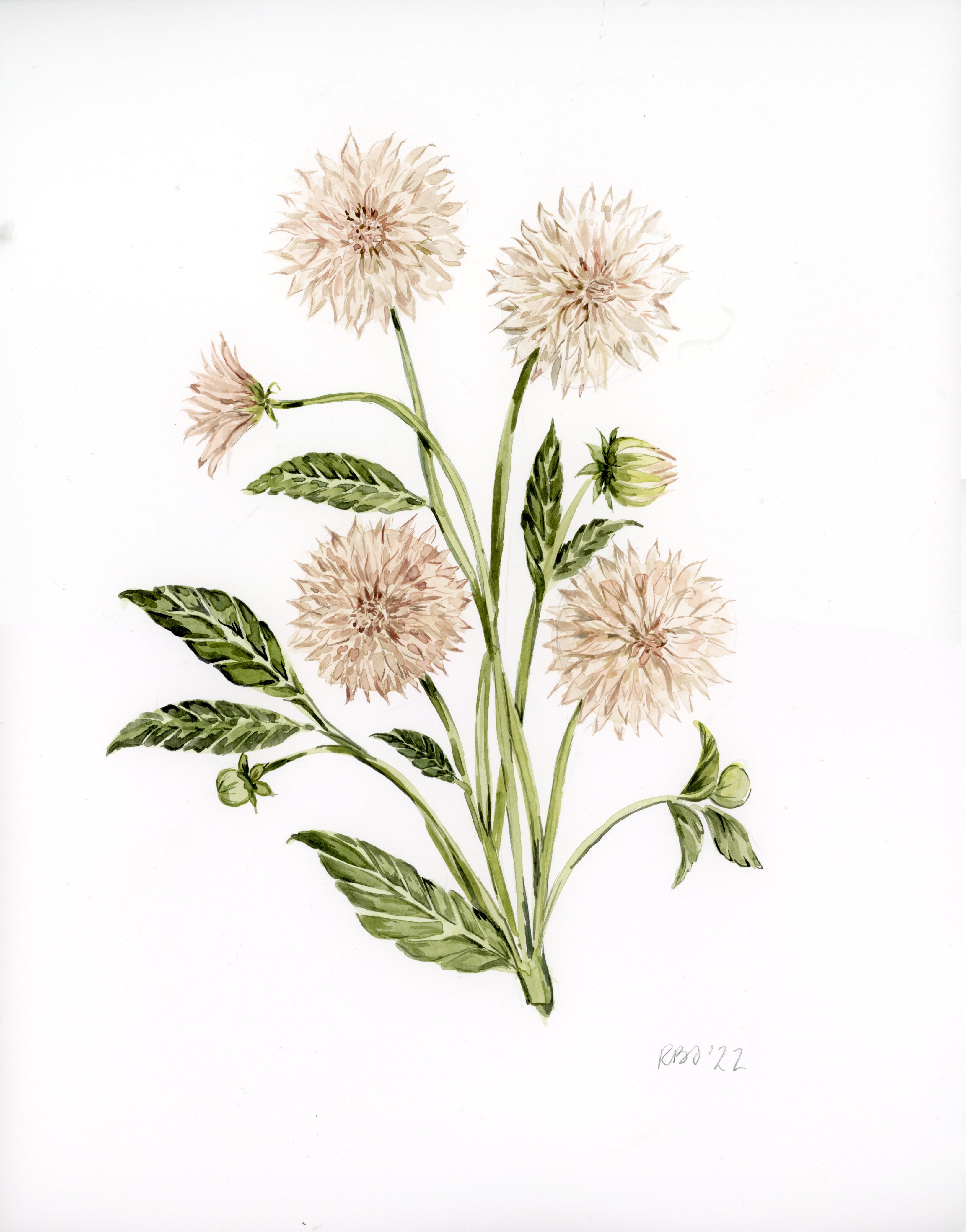 The Wallflower Series: Original 