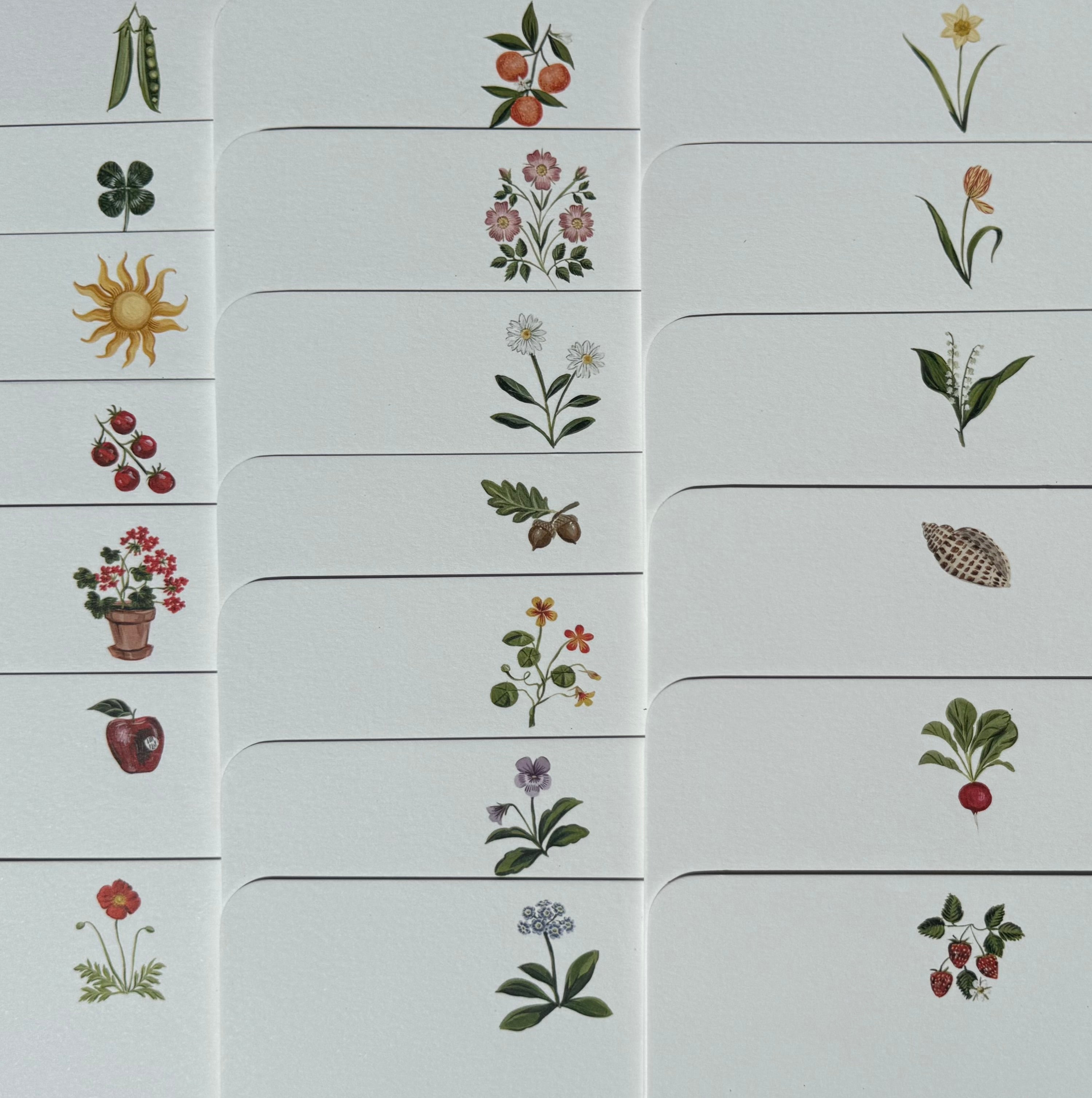 Charm Notes Stationery Set
