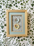 Seashells No. 1
