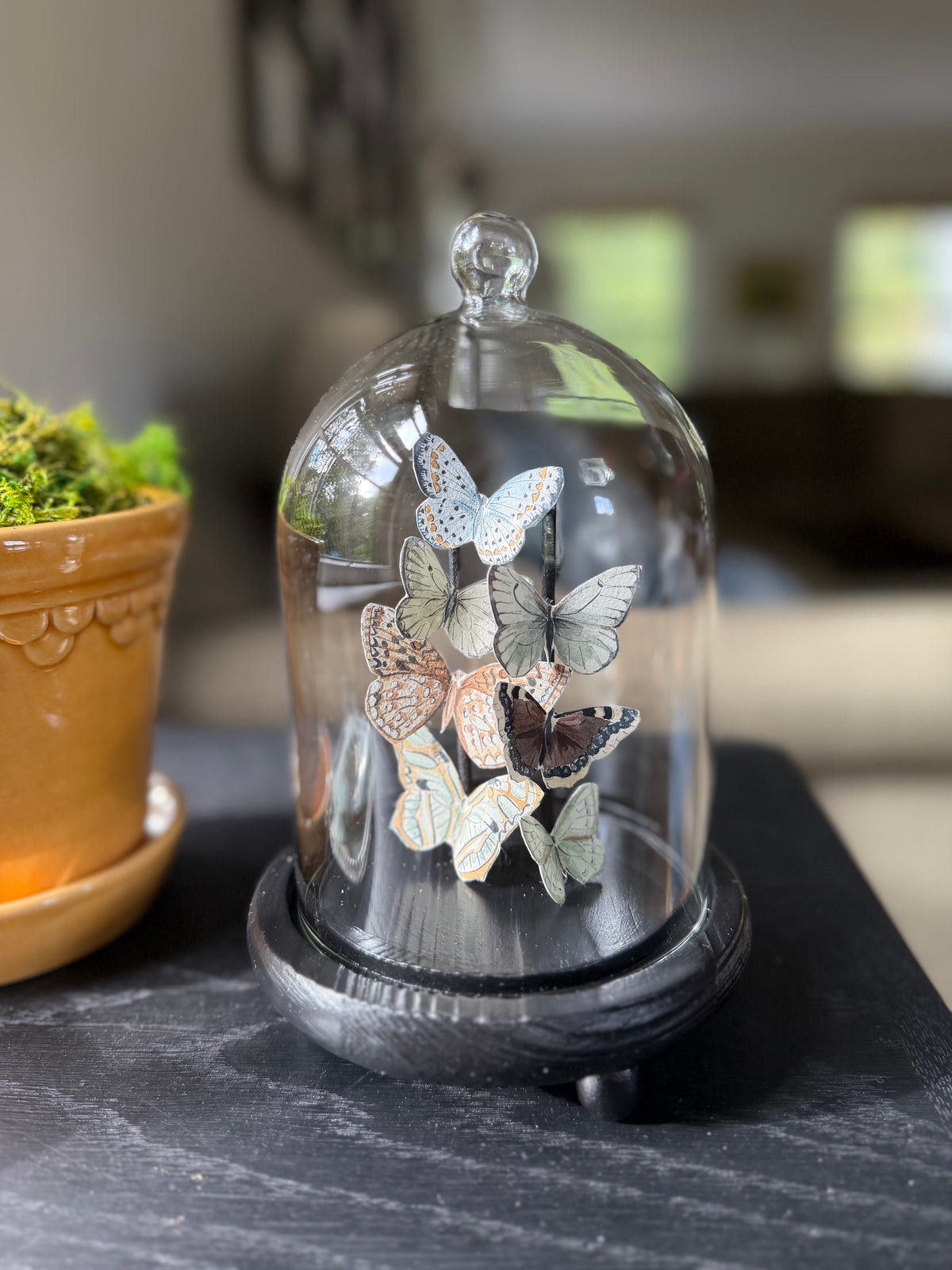 Butterfly Cloche - Large