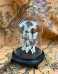 Butterfly Cloche - Large