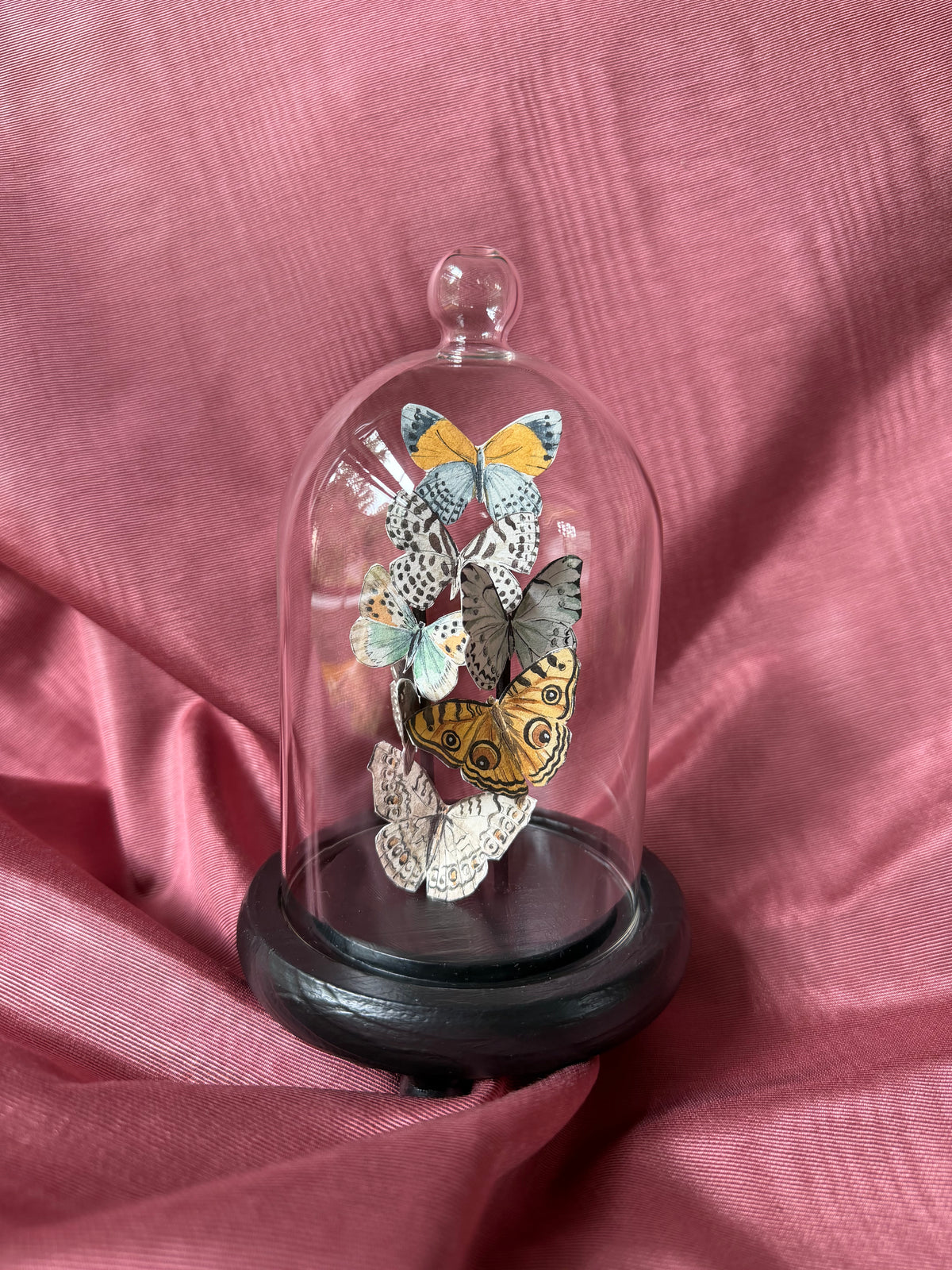 Butterfly Cloche - Small