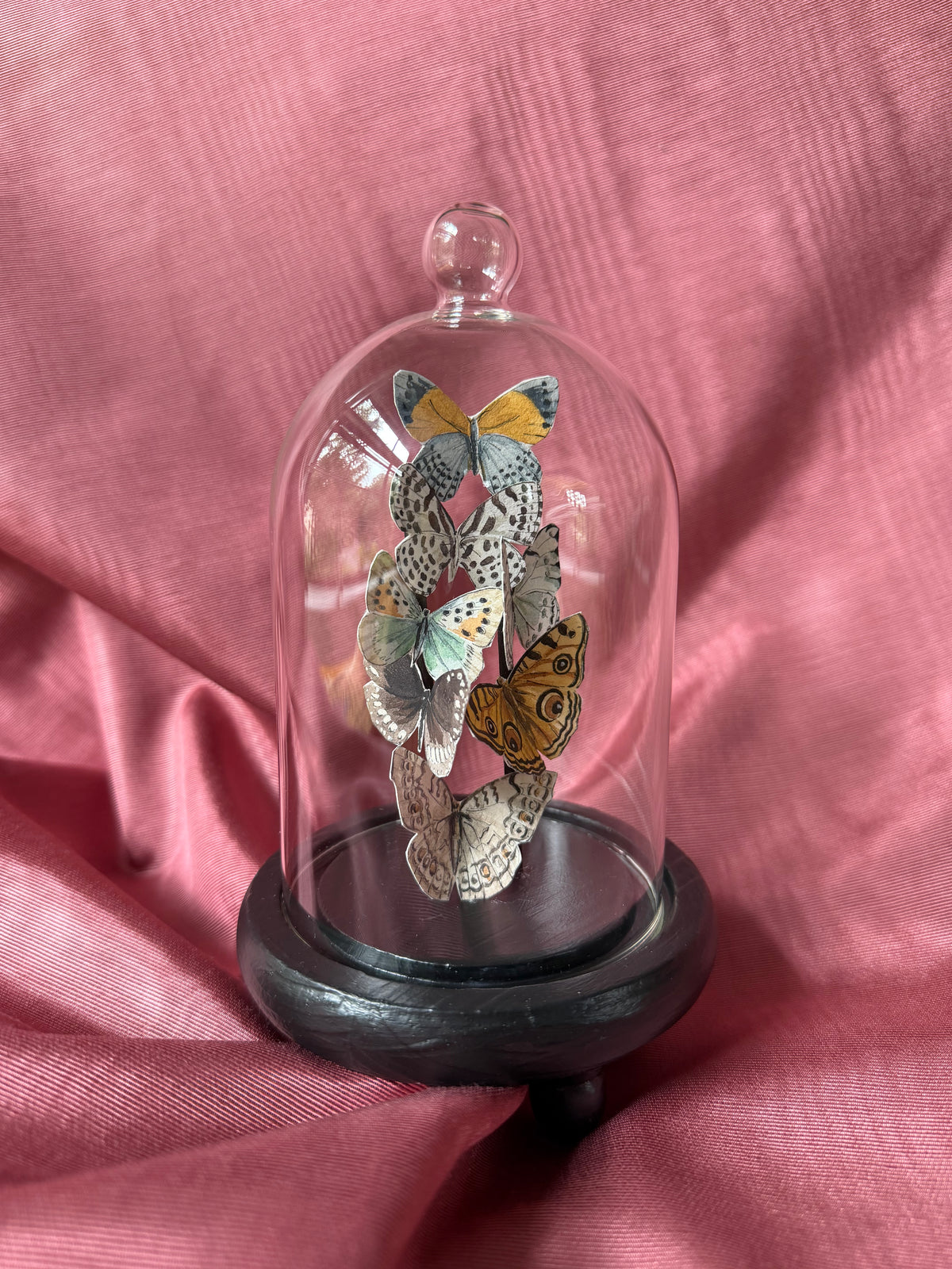 Butterfly Cloche - Small
