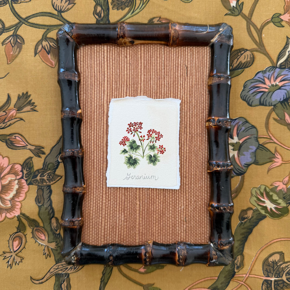 Seed Packet: Geranium