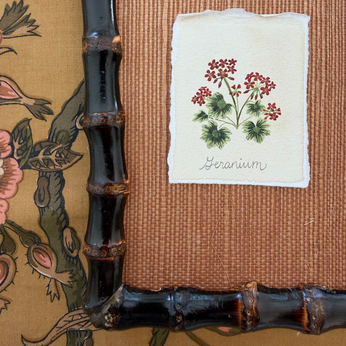 Seed Packet: Geranium