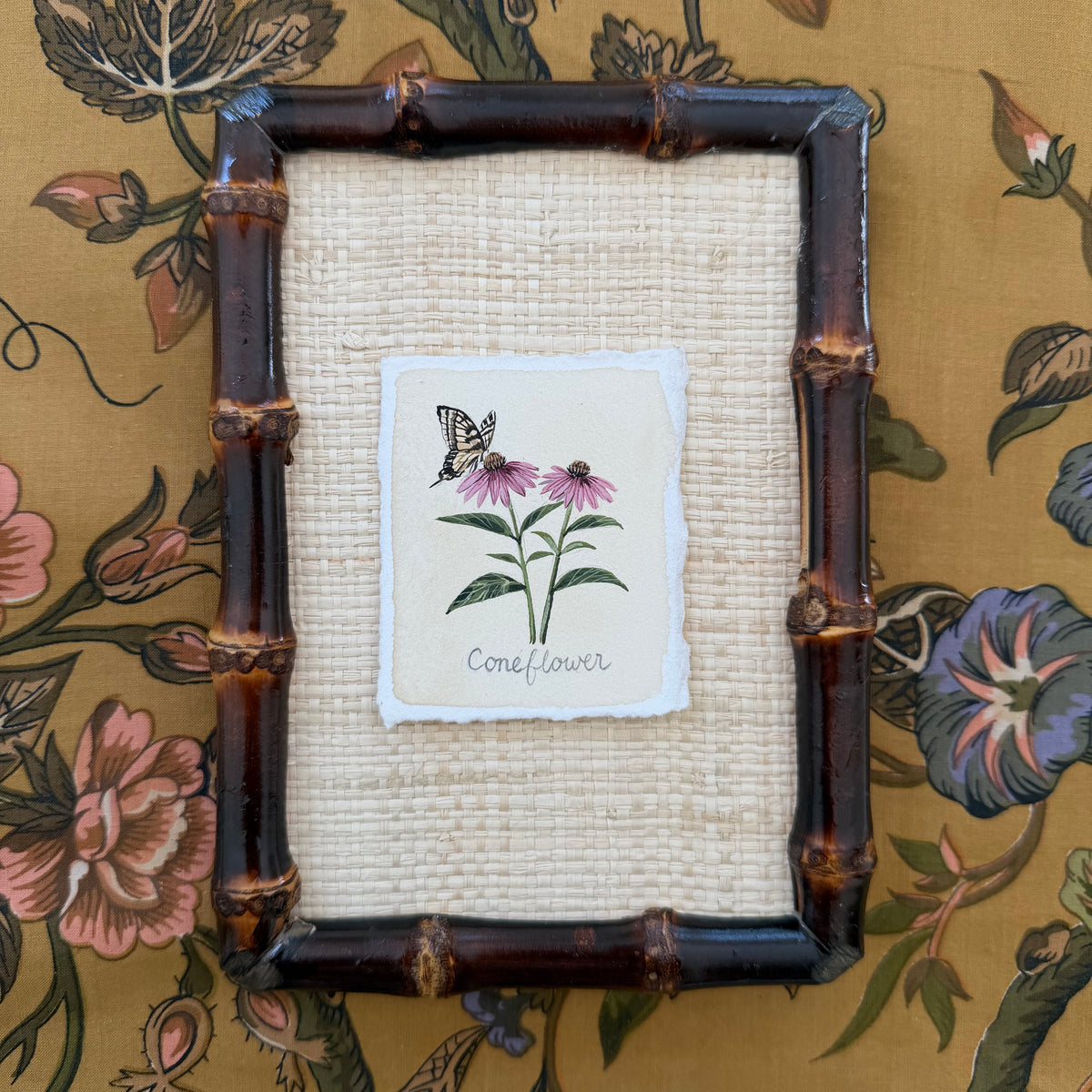 Seed Packet: Coneflower