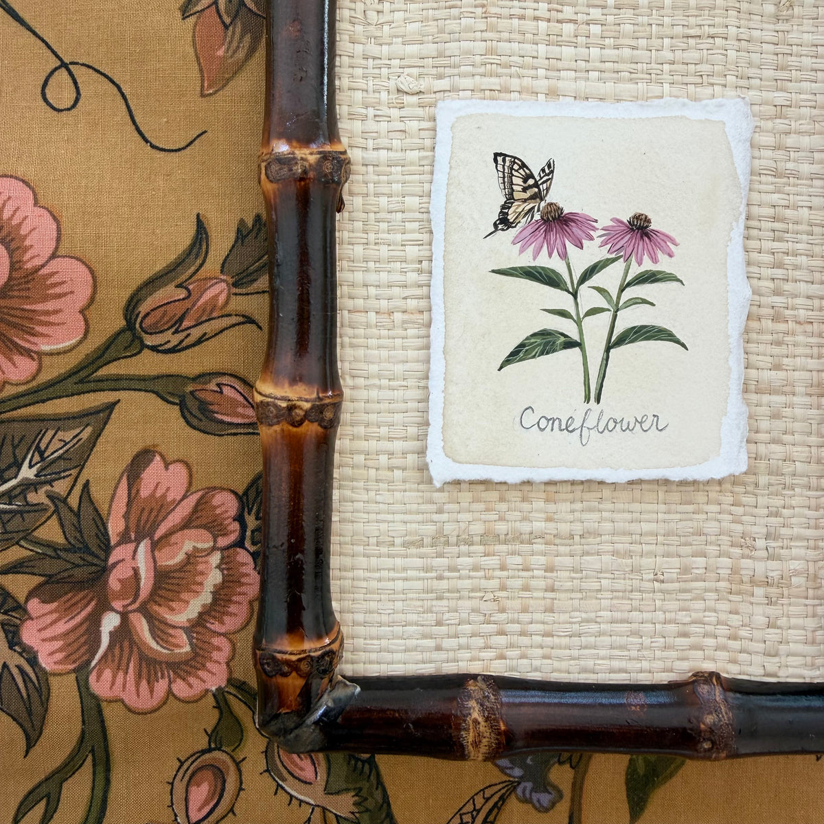 Seed Packet: Coneflower