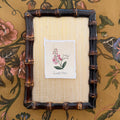 Seed Packet: Sweet Pea