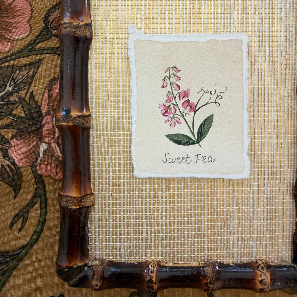 Seed Packet: Sweet Pea