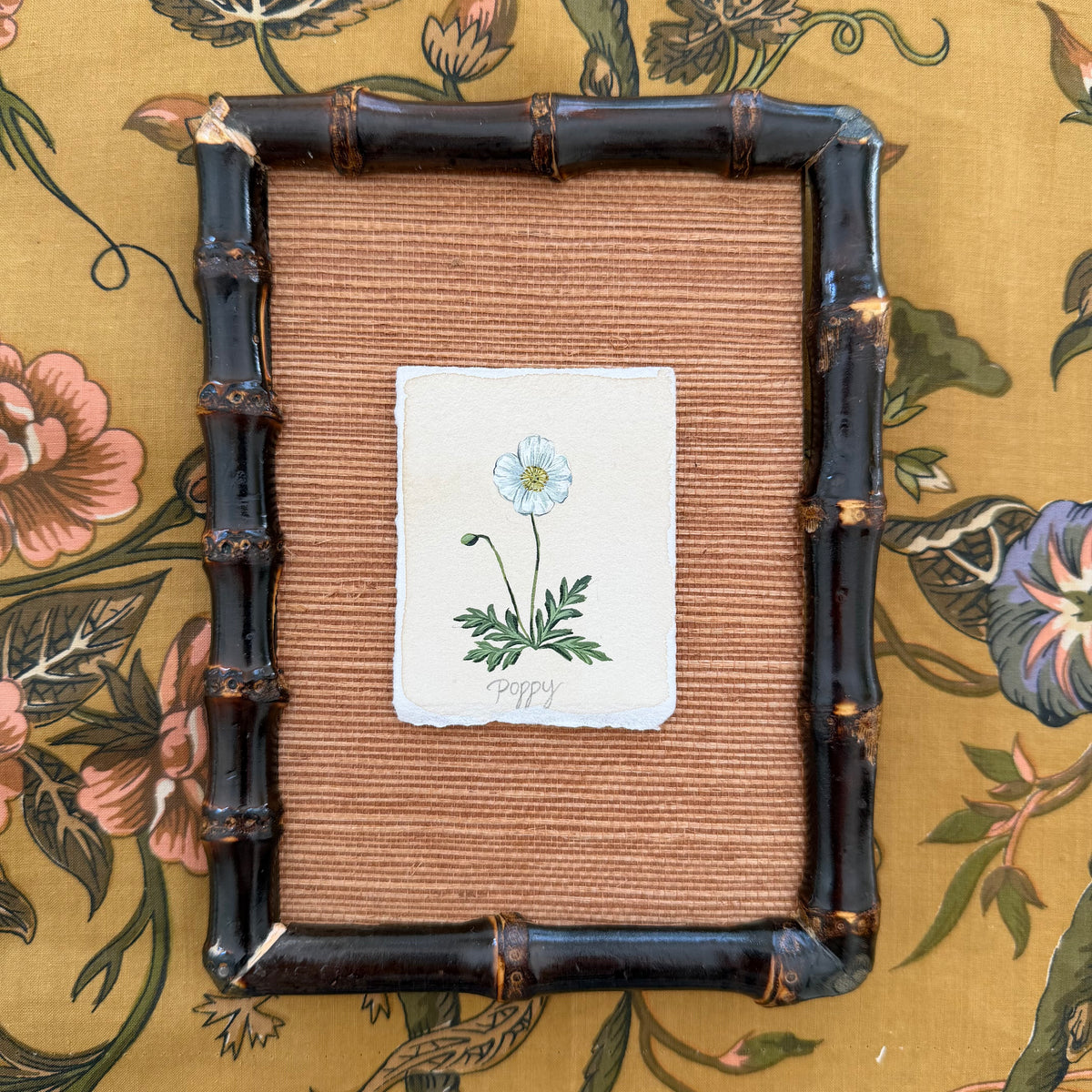 Seed Packet: Poppy