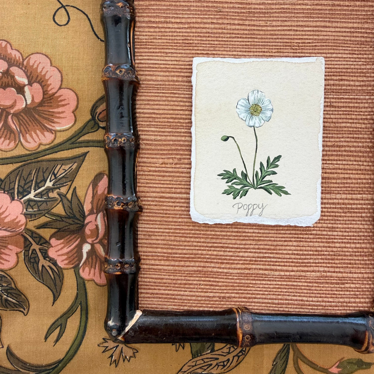 Seed Packet: Poppy