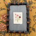 Seed Packet: Cosmos