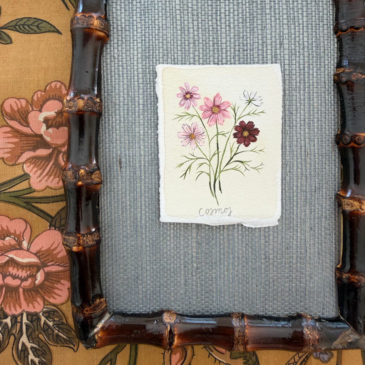 Seed Packet: Cosmos