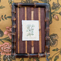 Seed Packet: Queen Anne's Lace
