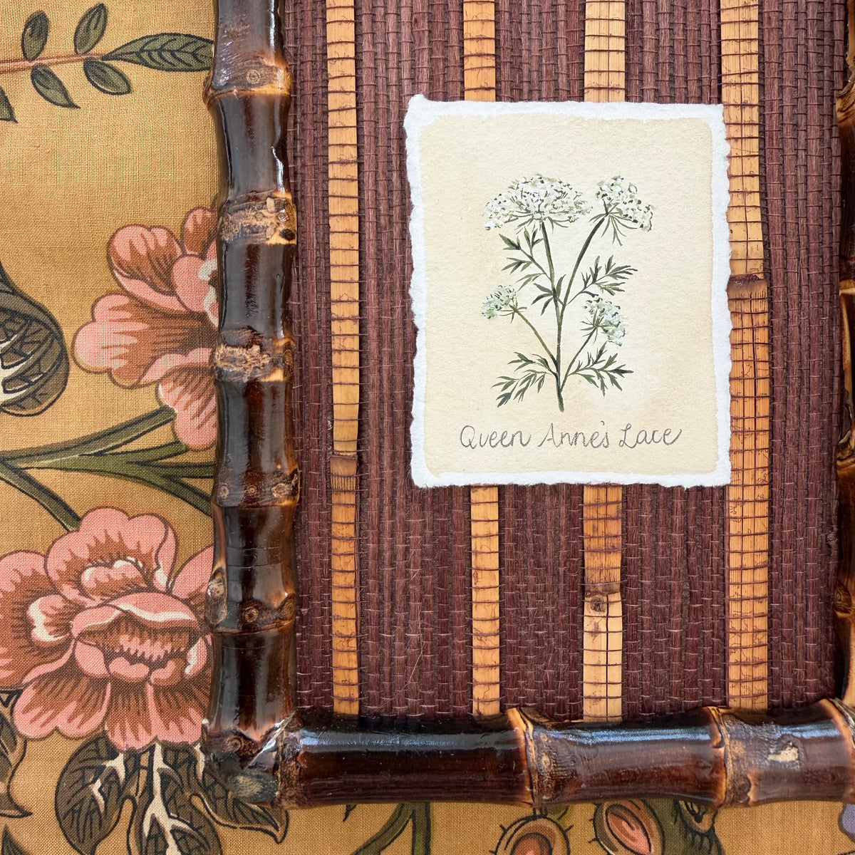 Seed Packet: Queen Anne's Lace
