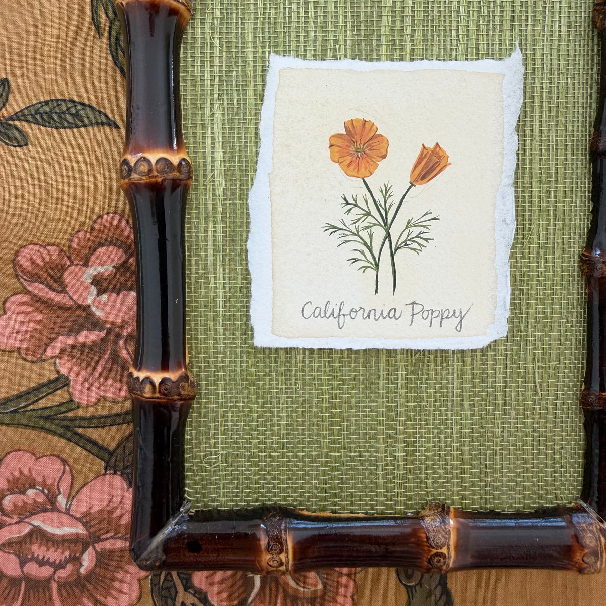 Seed Packet: California Poppy