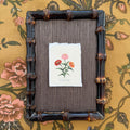 Seed Packet: Zinnias