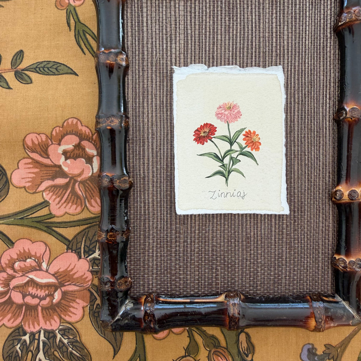 Seed Packet: Zinnias