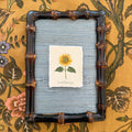 Seed Packet: Sunflower