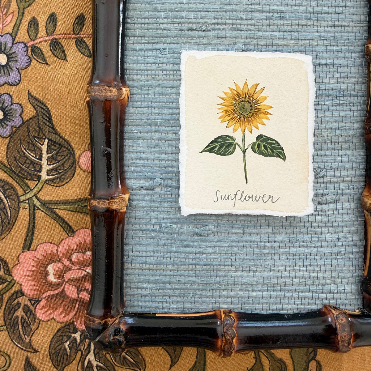 Seed Packet: Sunflower