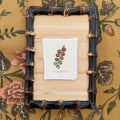 Seed Packet: Tomatoes
