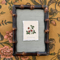 Seed Packet: Strawberries