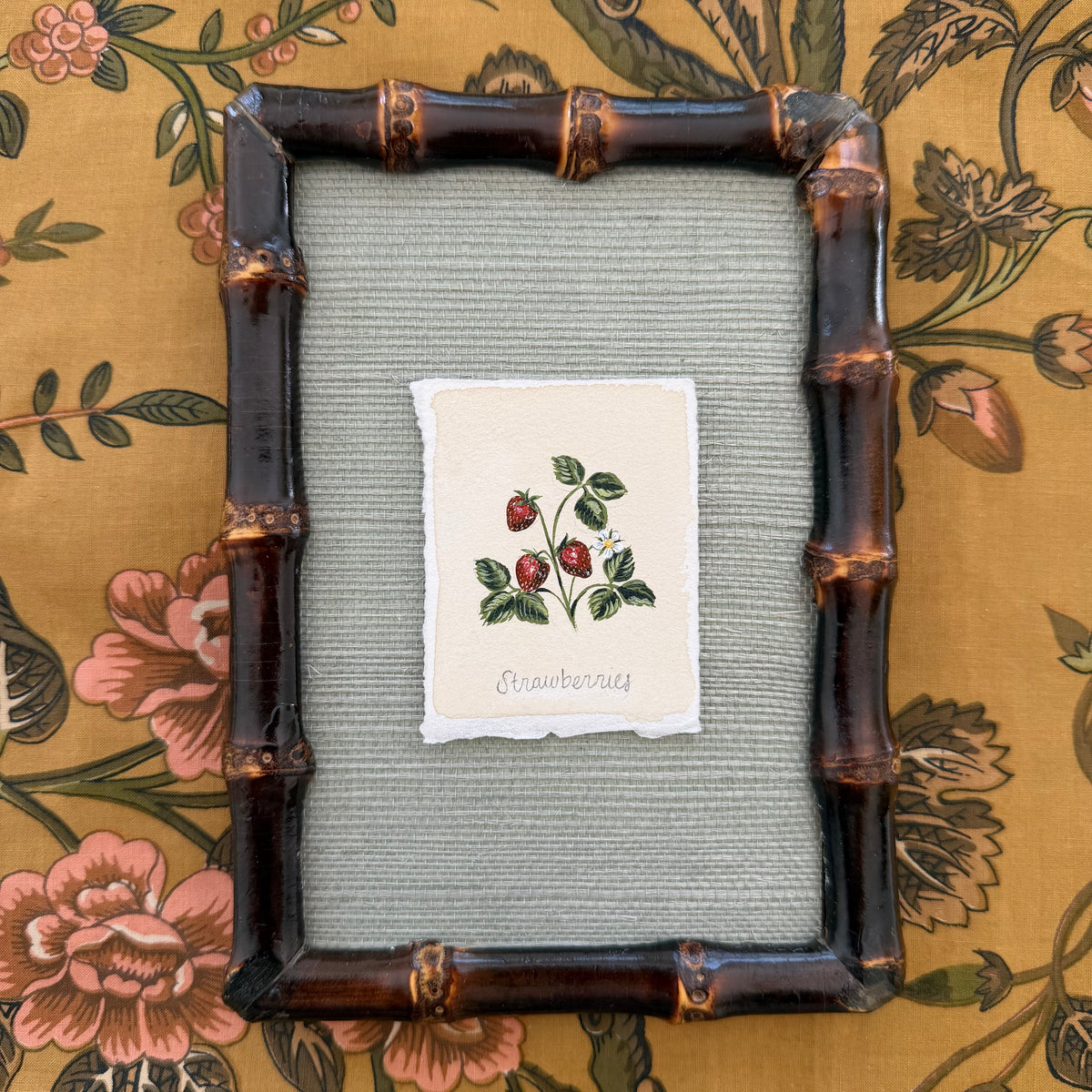 Seed Packet: Strawberries