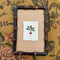 Seed Packet: Radish