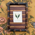 Seed Packet: Lily of the Valley