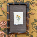 Seed Packet: Black Eyed Susan