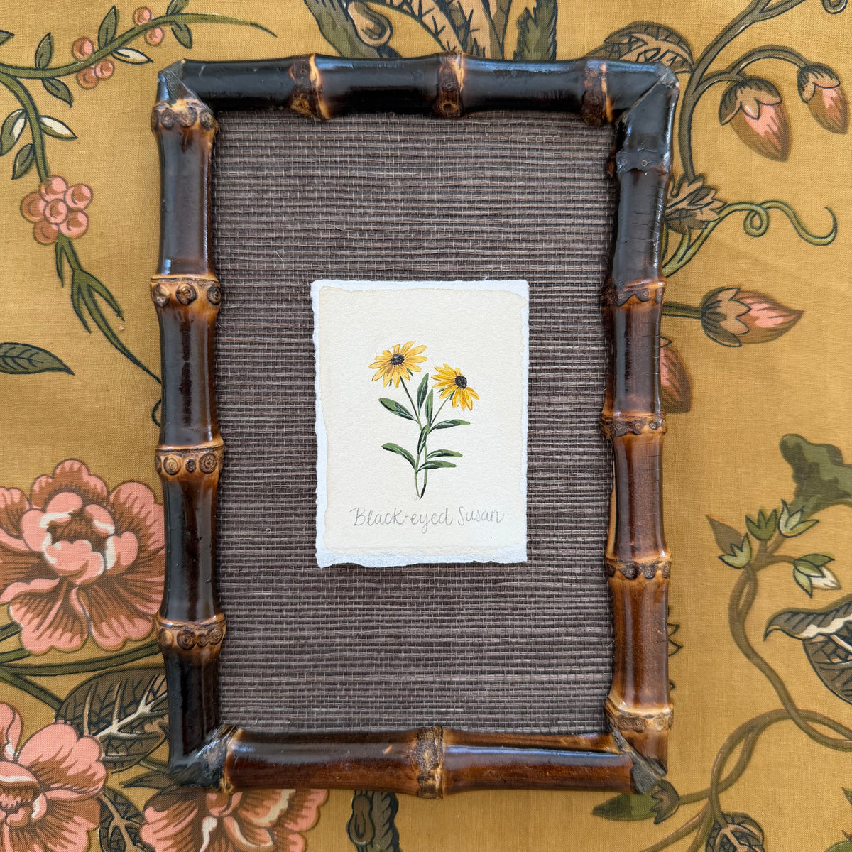 Seed Packet: Black Eyed Susan