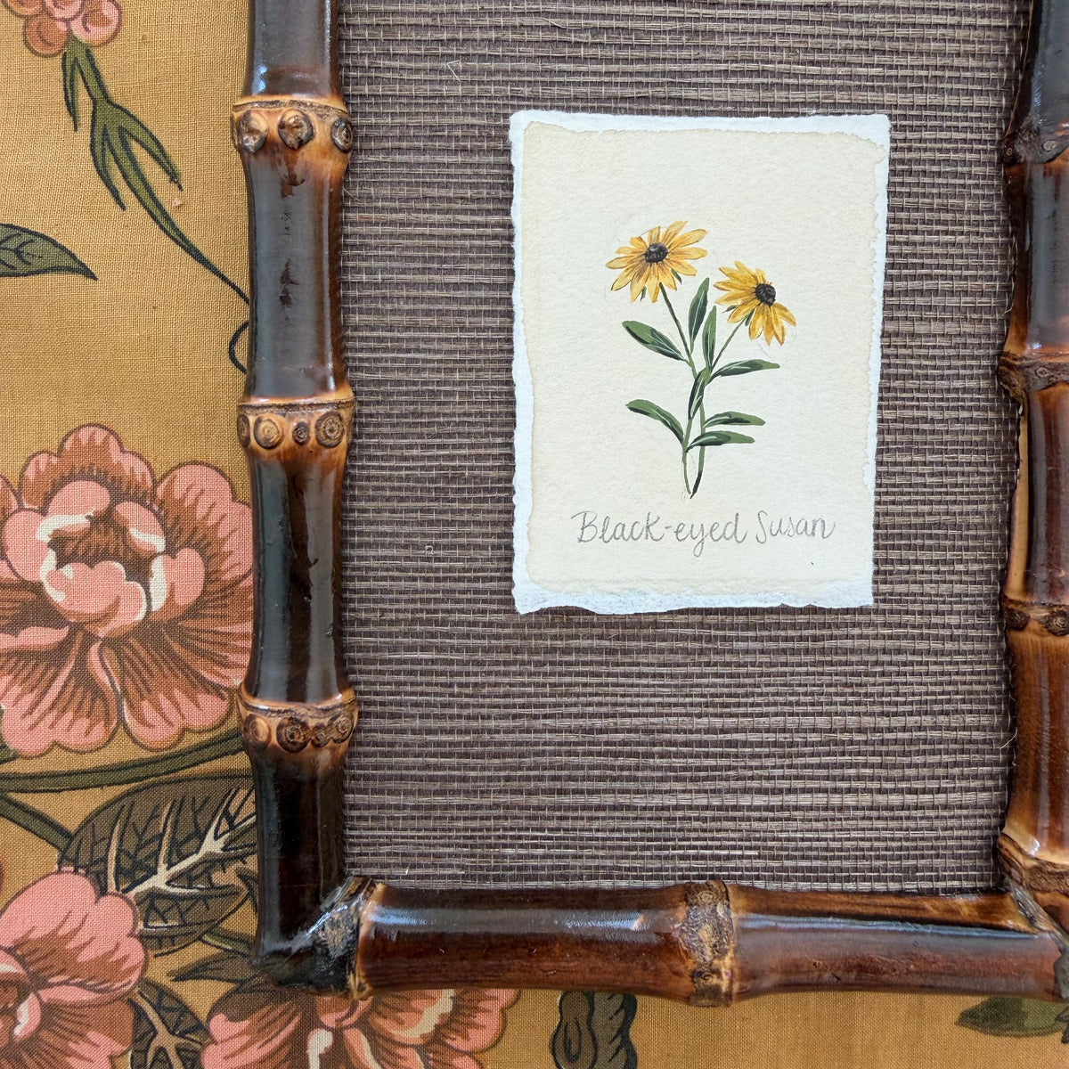 Seed Packet: Black Eyed Susan