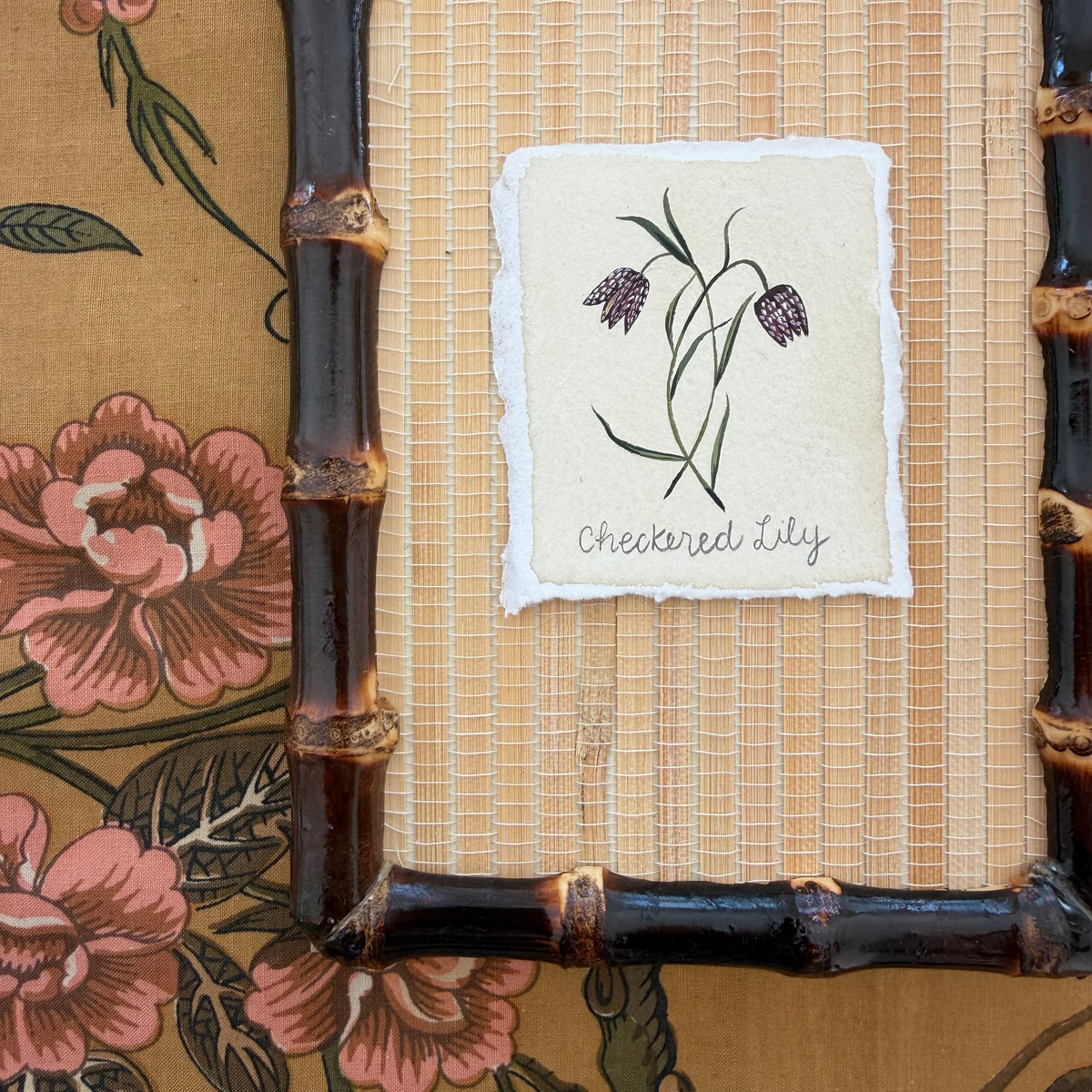 Seed Packet: Checkered Lily