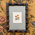 Seed Packet: Marigold