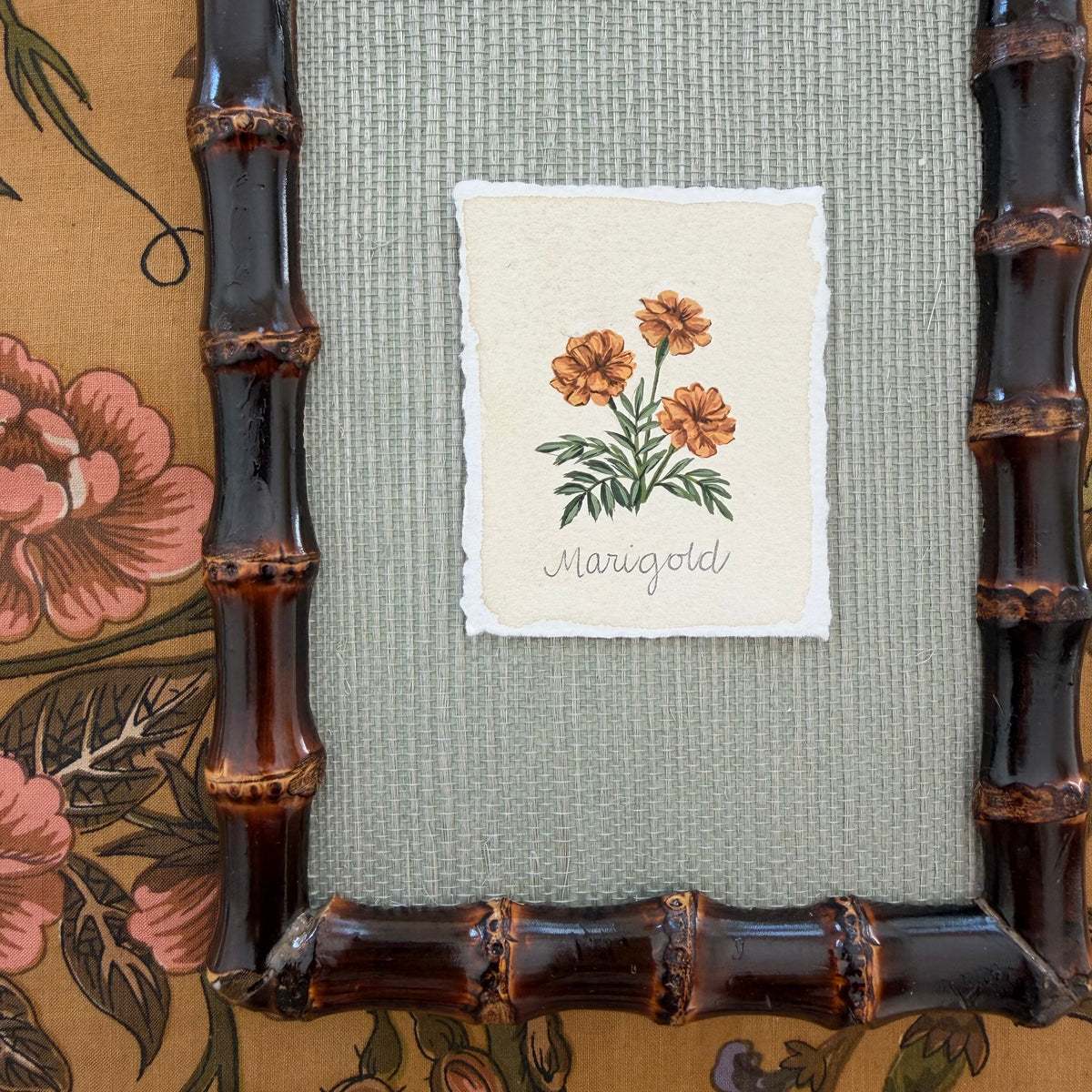 Seed Packet: Marigold