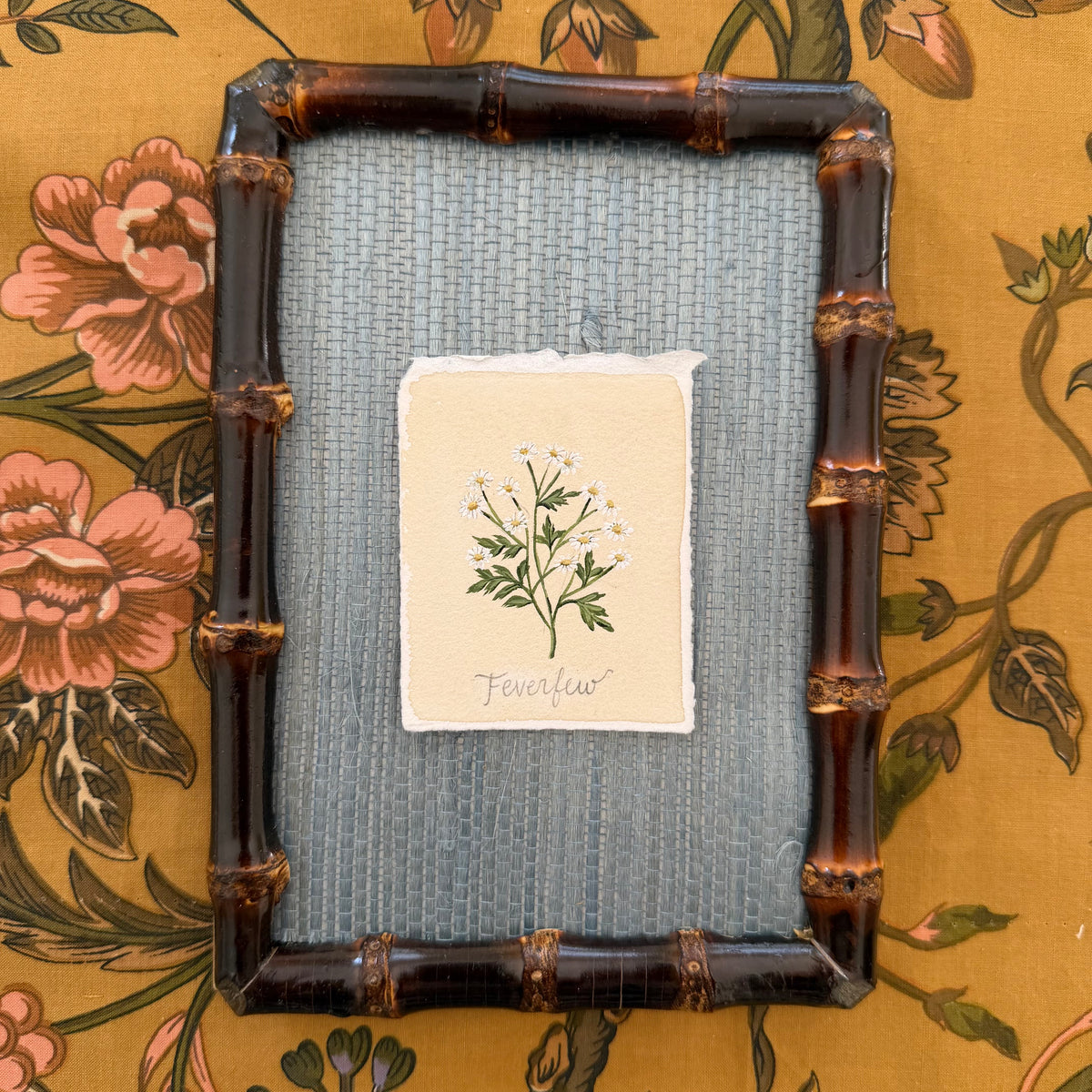 Seed Packet: Feverfew