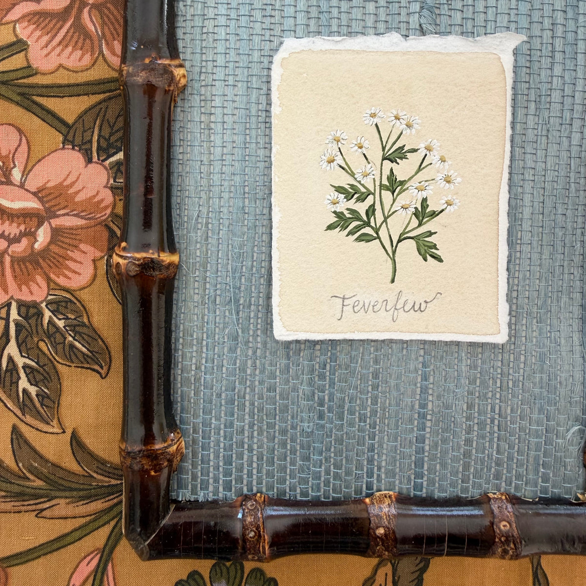 Seed Packet: Feverfew