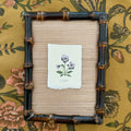 Seed Packet: Viola