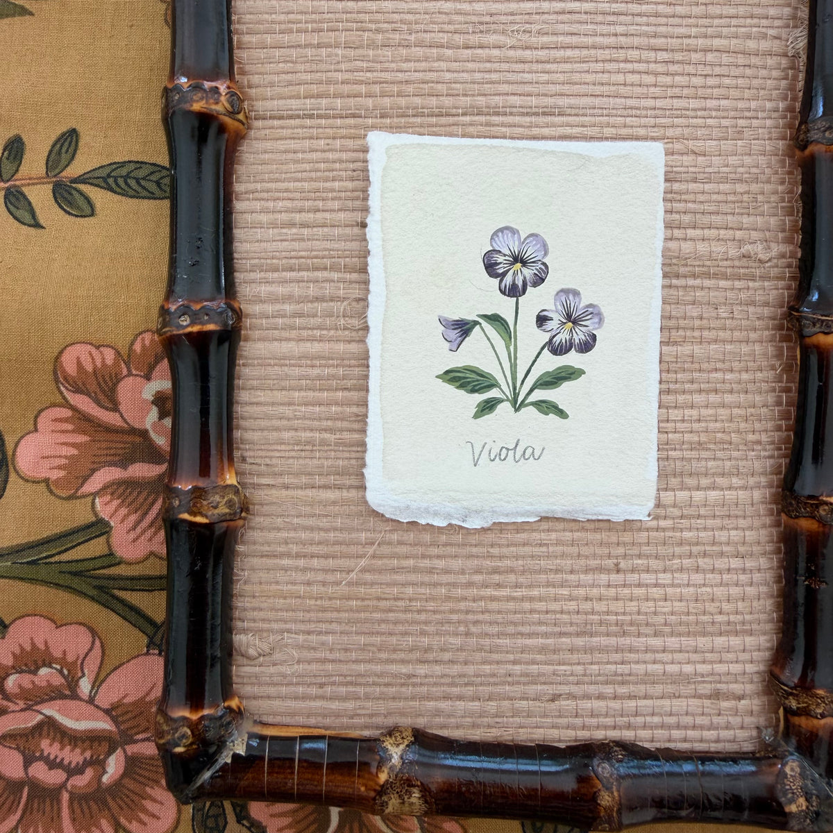 Seed Packet: Viola