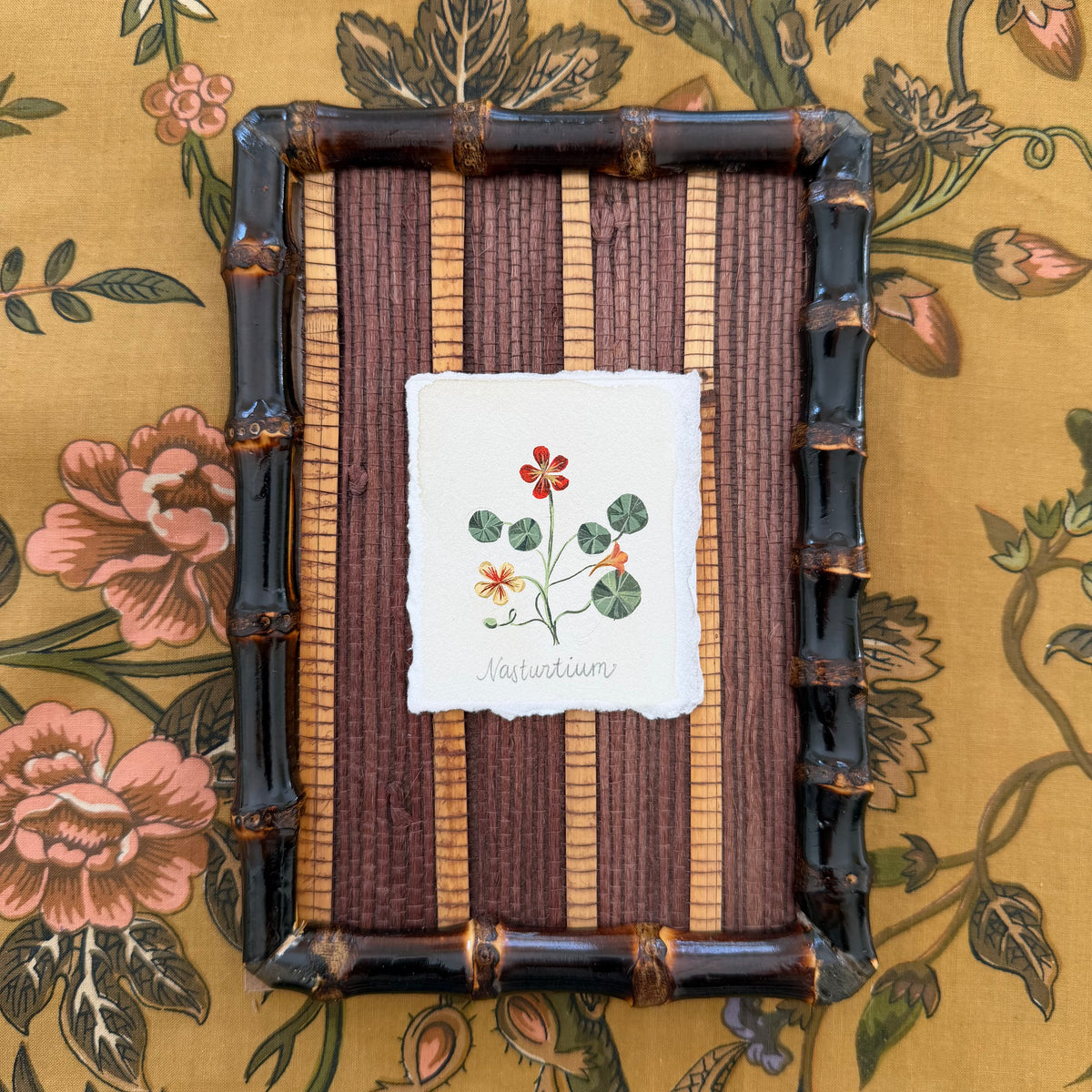 Seed Packet: Nasturtium