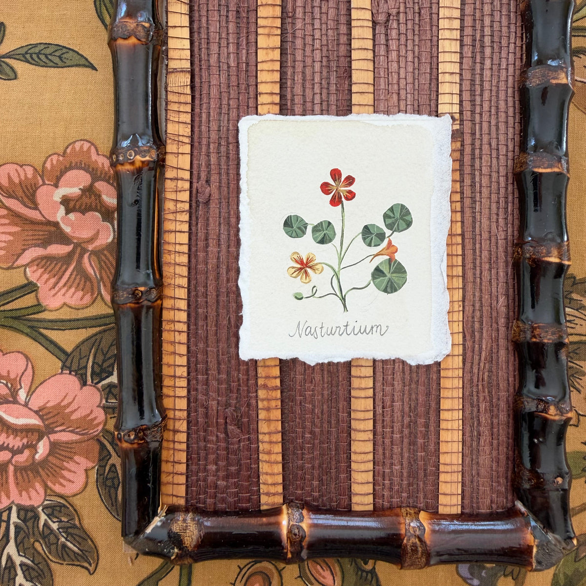 Seed Packet: Nasturtium