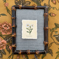 Seed Packet: Daisies