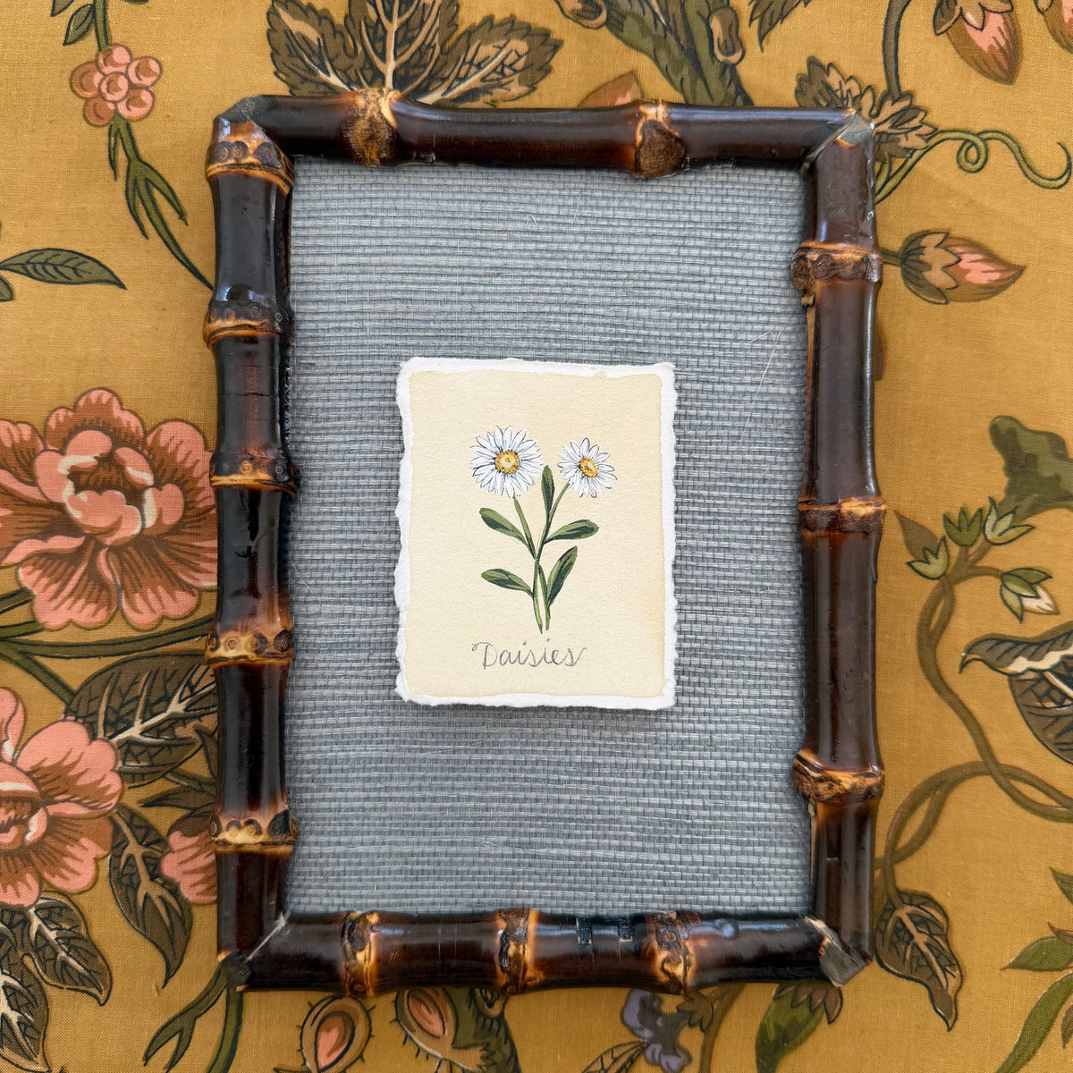Seed Packet: Daisies