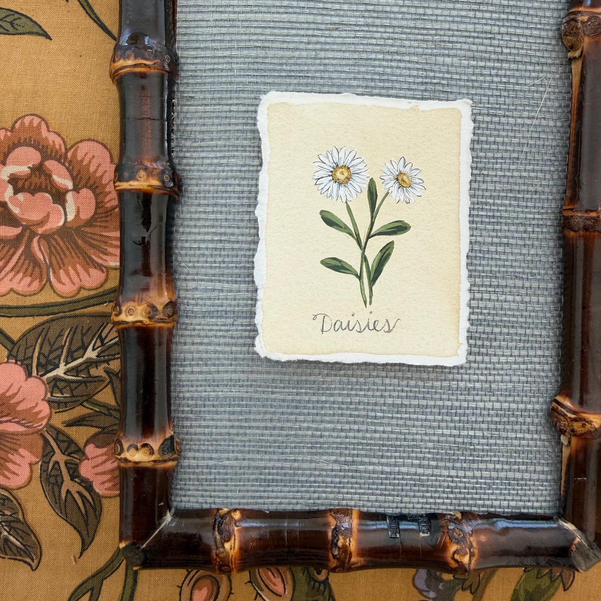 Seed Packet: Daisies