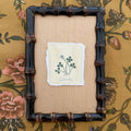 Seed Packet: Clover
