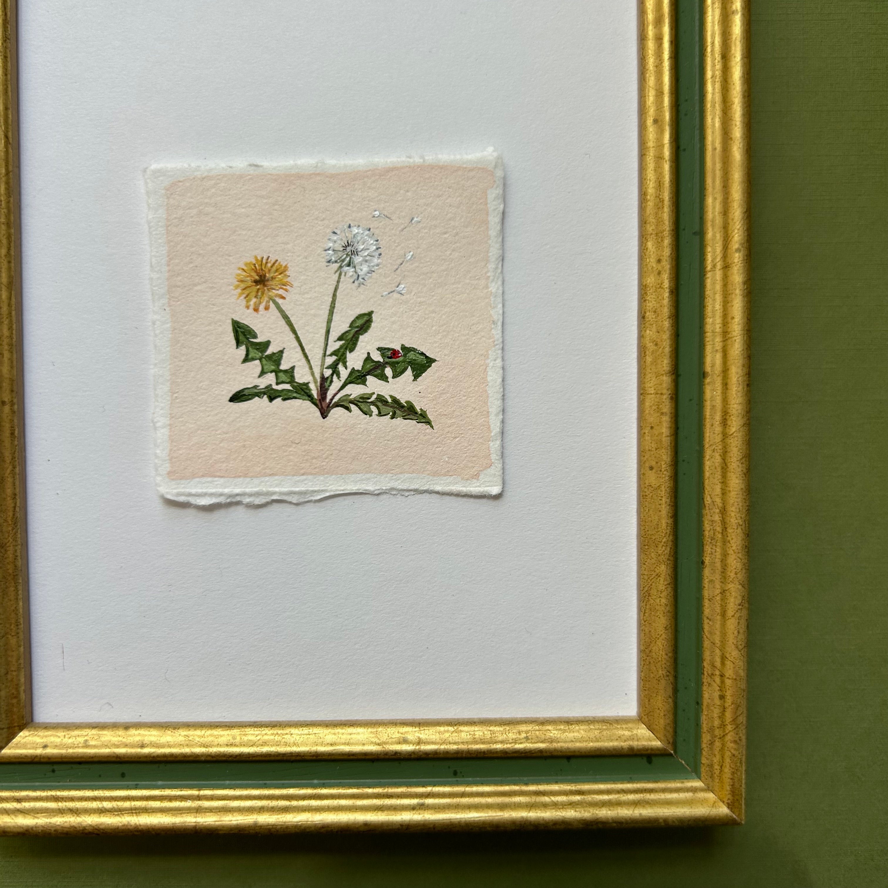 Dandelion: Summer Souvenirs