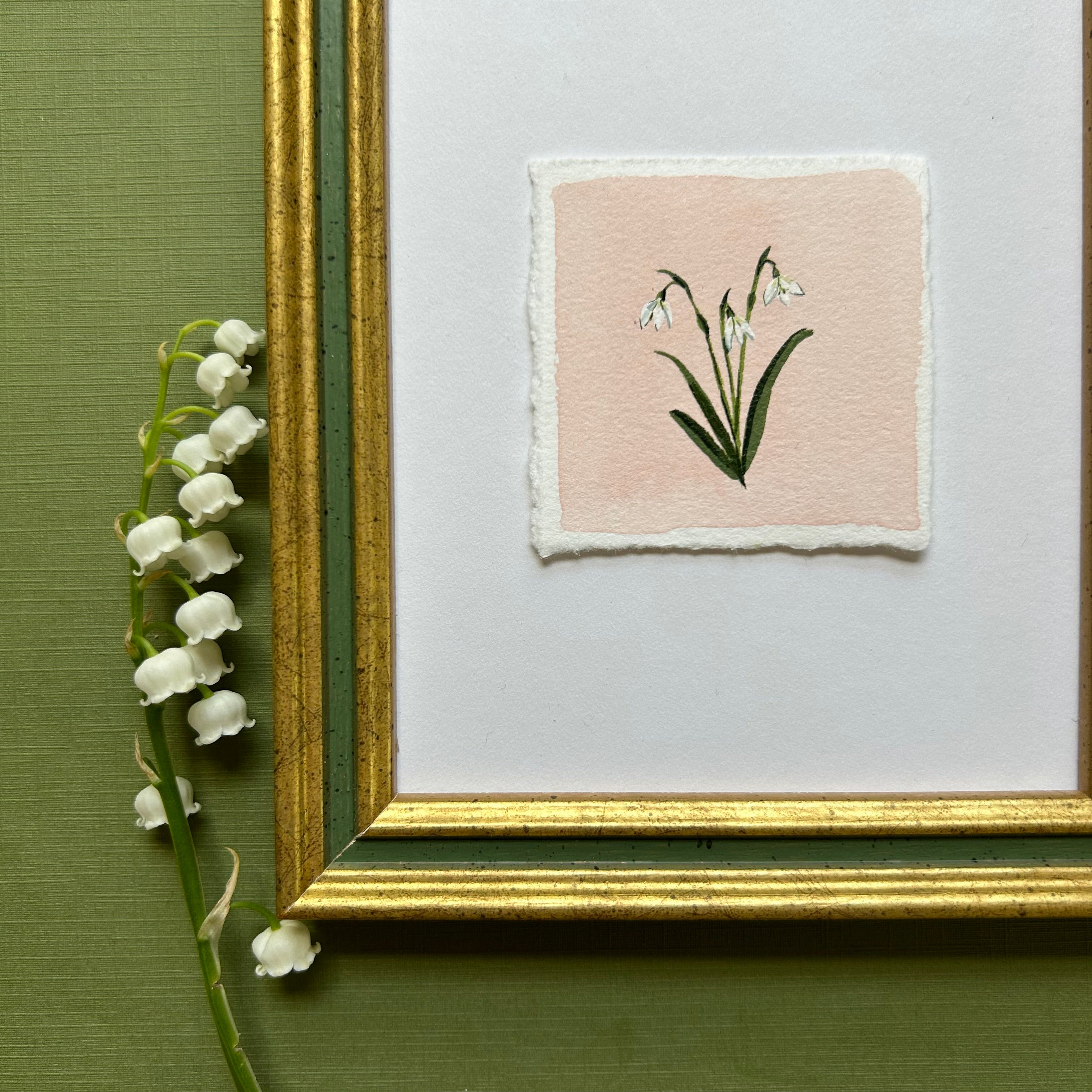 January: Birth Month Flower Series