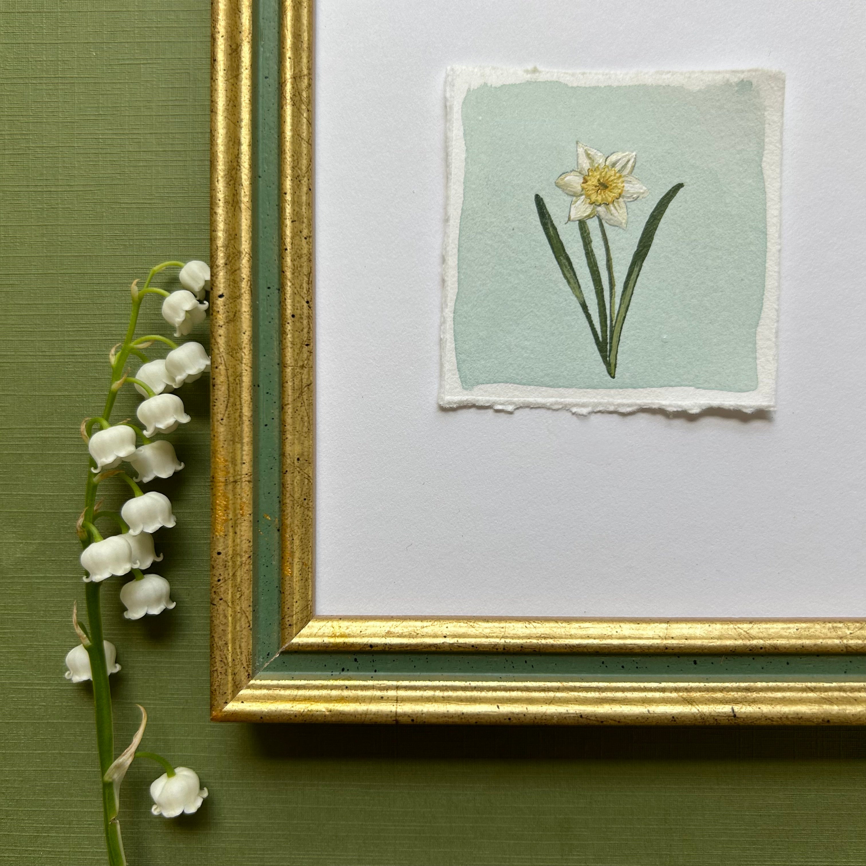 March: Birth Month Flower Series