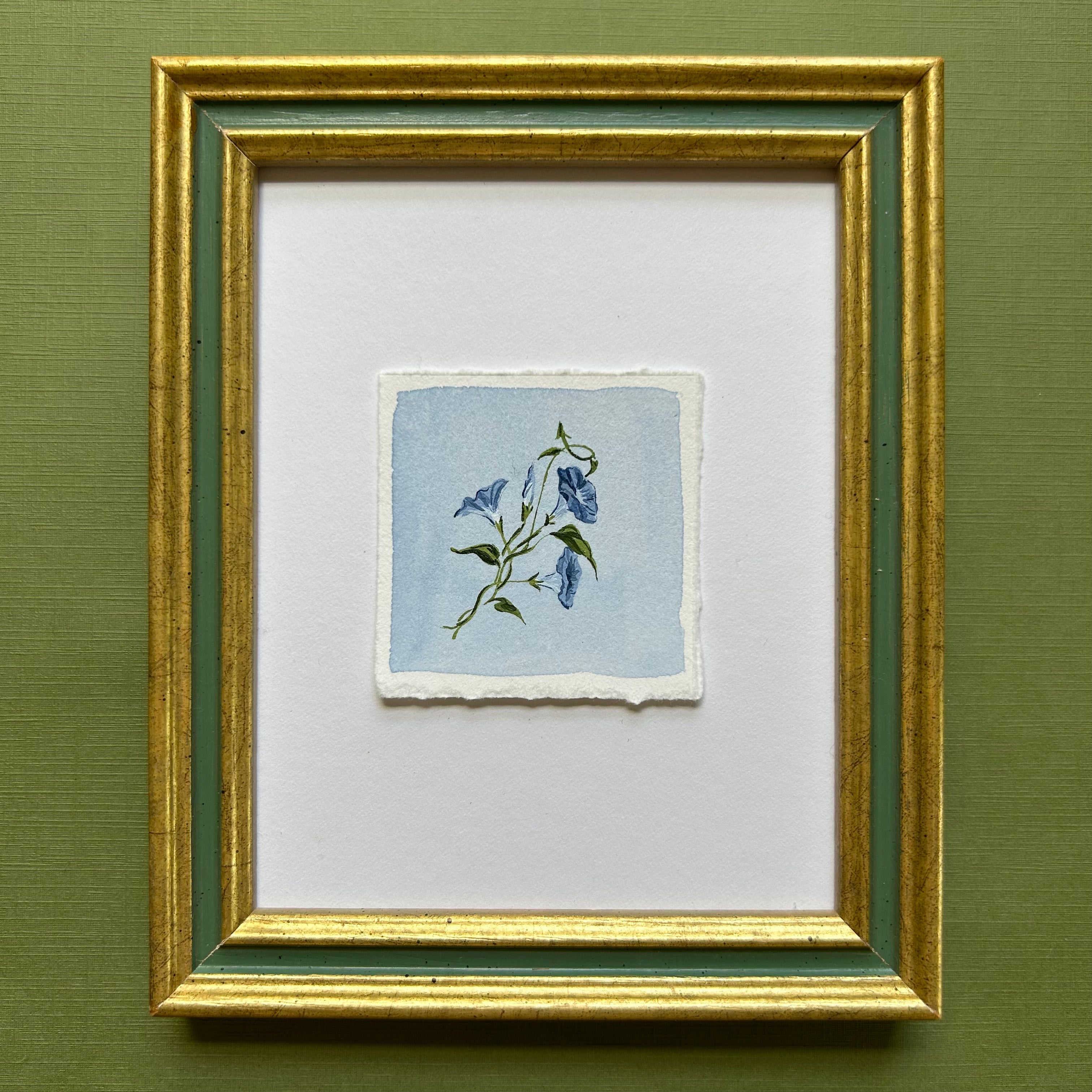 September: Birth Month Flower Series