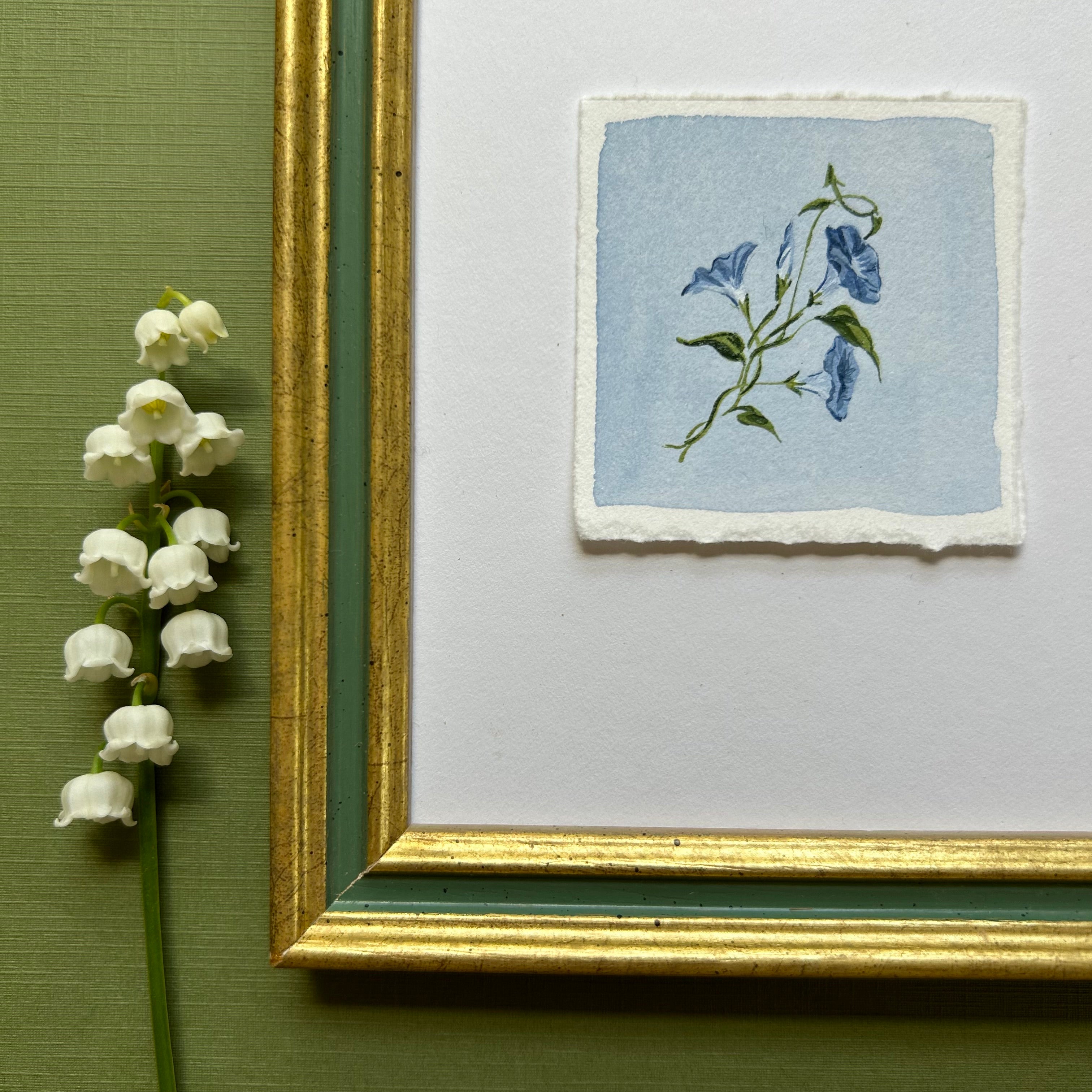 September: Birth Month Flower Series